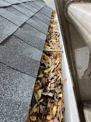 Professional Gutter Cleaning